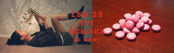 PSILOCYBIN Туринск