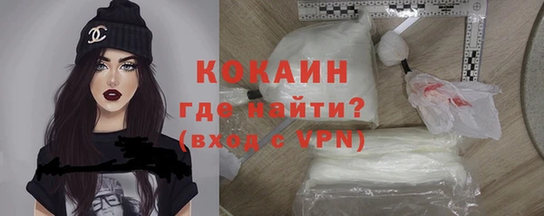 PSILOCYBIN Туринск