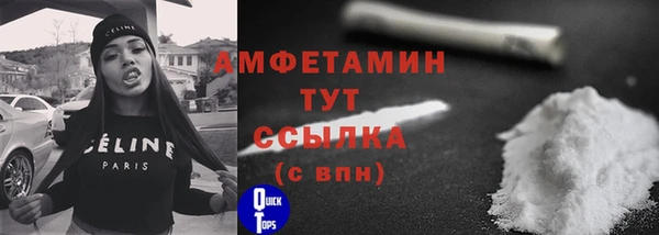 PSILOCYBIN Туринск