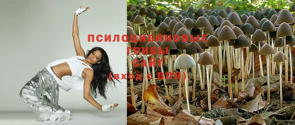 PSILOCYBIN Володарск