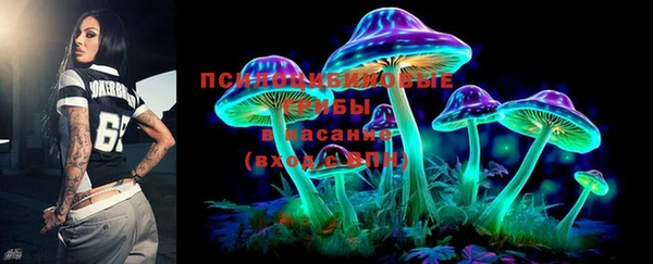 PSILOCYBIN Туринск