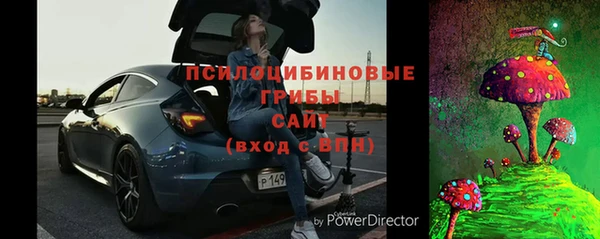PSILOCYBIN Туринск