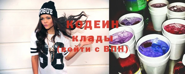 PSILOCYBIN Туринск