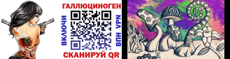 Псилоцибиновые грибы GOLDEN TEACHER  магазин  наркотиков  blacksprut как зайти  Ставрополь 