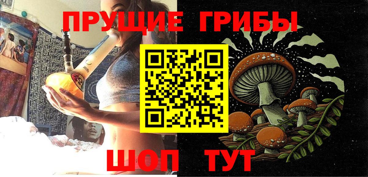 Галлюциногенные грибы мухоморы Ставрополь