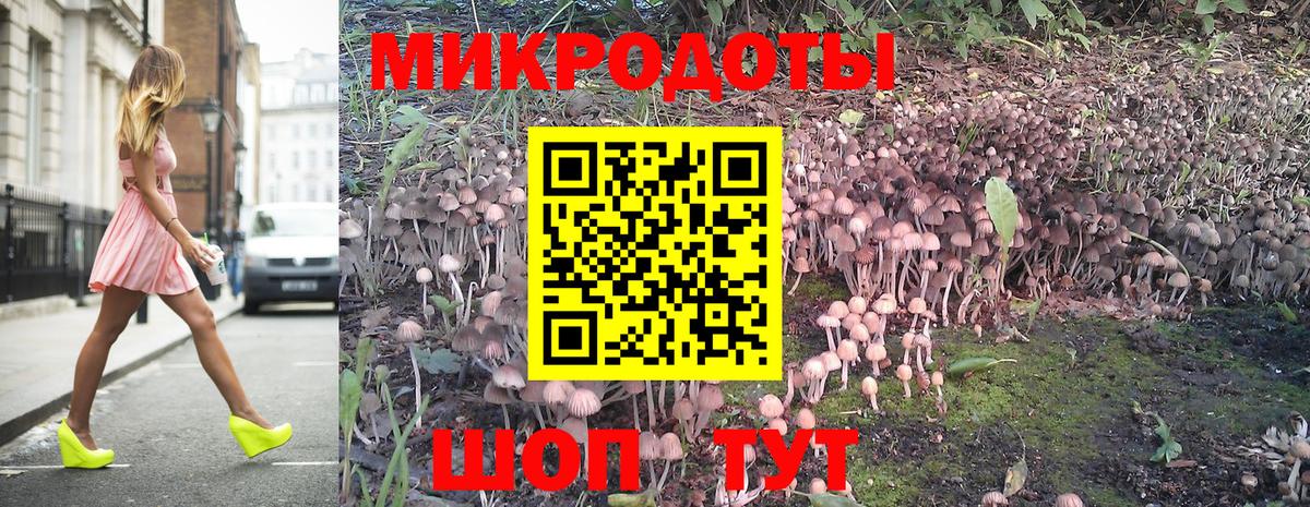продажа наркотиков  Вход с VPN  Ставрополь  Галлюциногенные грибы Psilocybine cubensis 