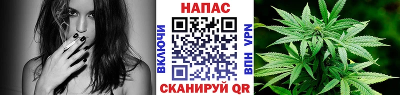 Шишки марихуана тримм  Ставрополь 