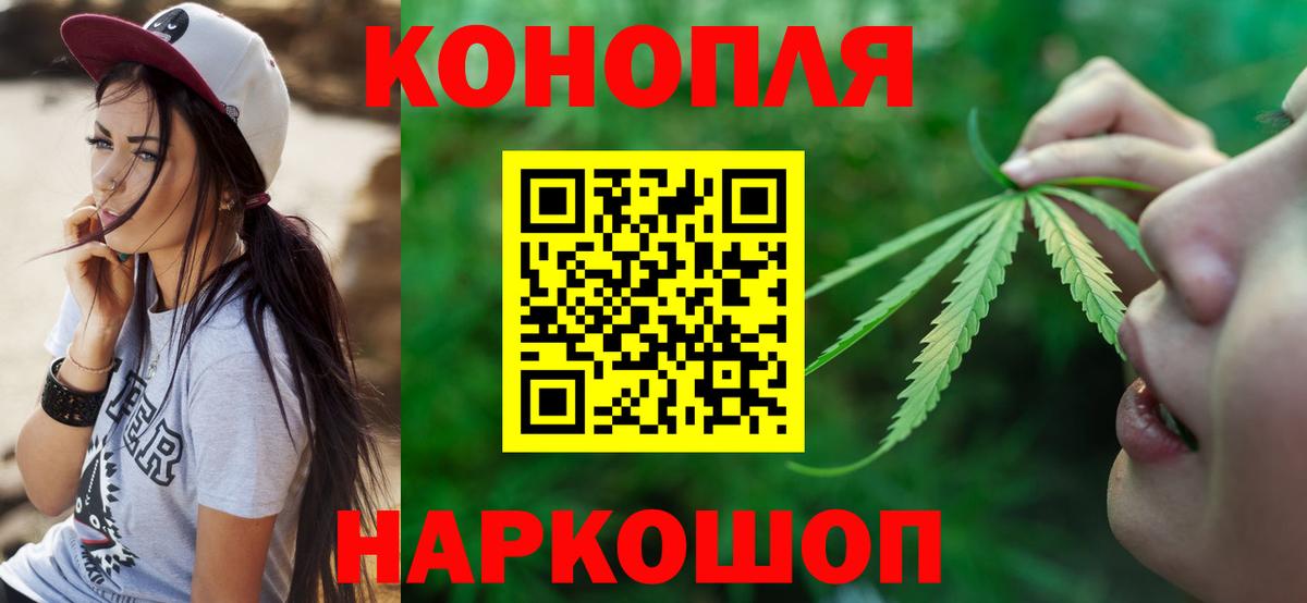 Шишки марихуана марихуана  Вход с VPN  Ставрополь  Марихуана семена 
